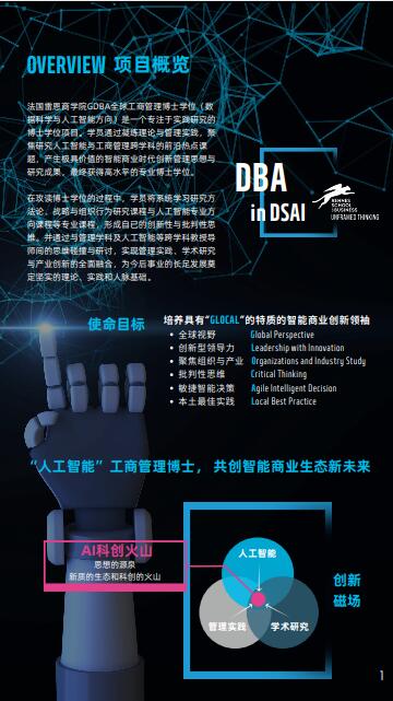 法國(guó)雷恩商學(xué)院DBA（數(shù)據(jù)科學(xué)與人工智能方向）
