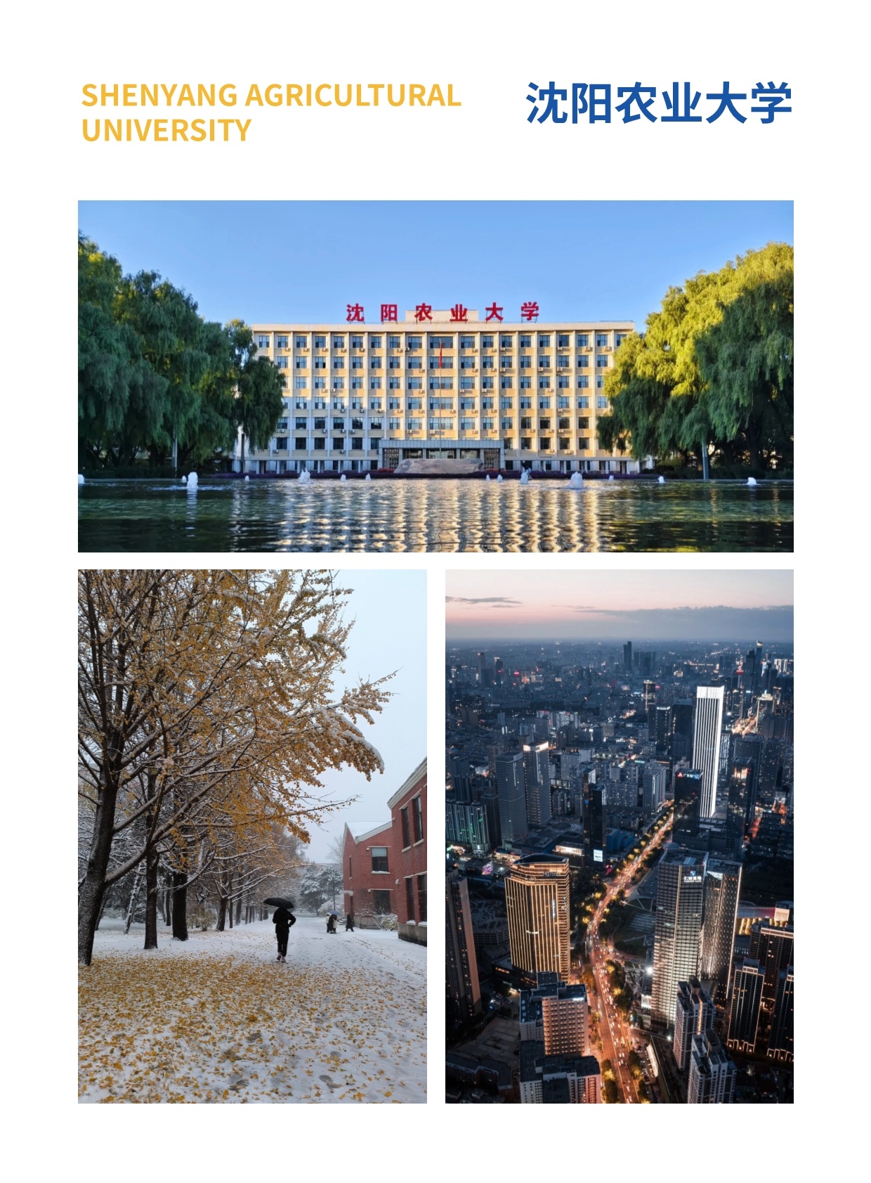 沈陽農(nóng)業(yè)大學(xué)與匈牙利賽格德大學(xué) 農(nóng)村發(fā)展碩士